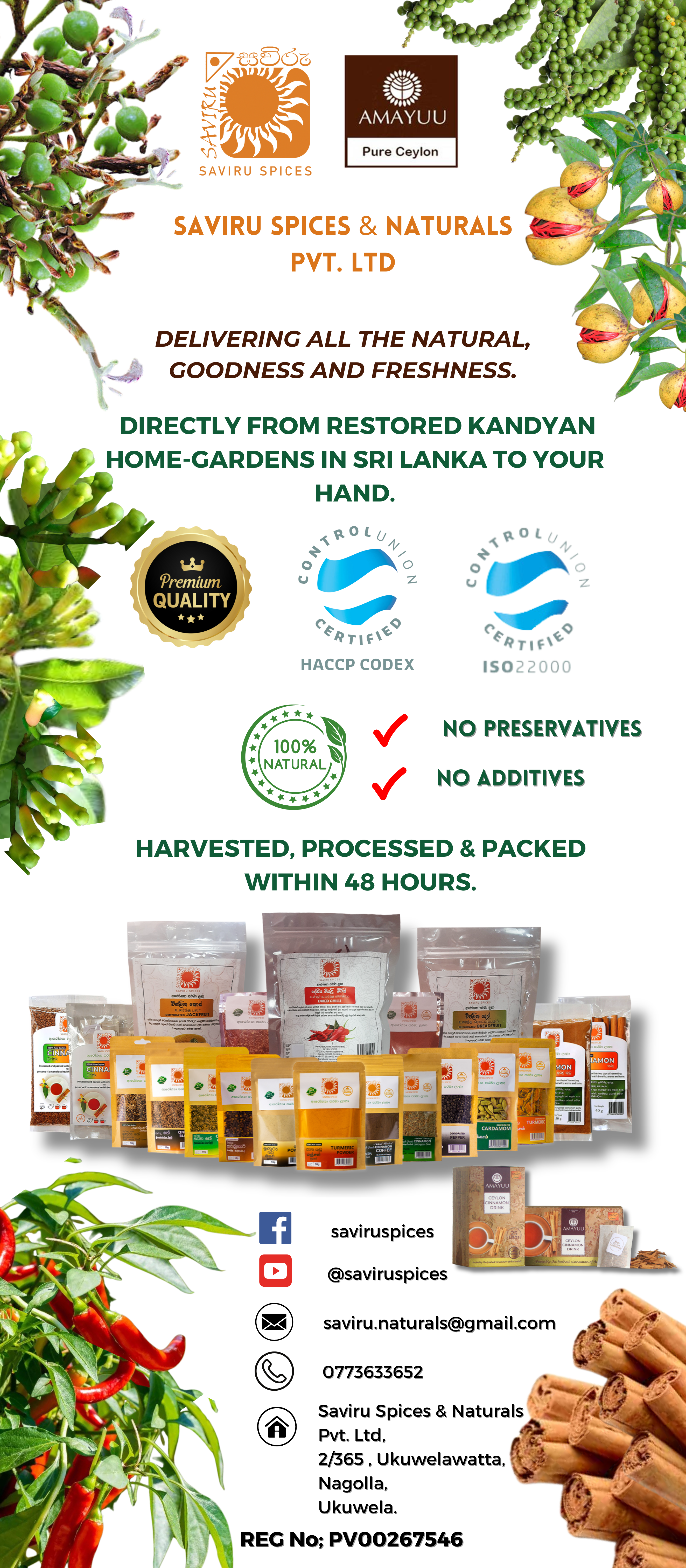 Ceylon Plaza offer